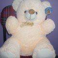Teddy Bear 20